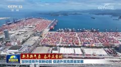 <b>【新年新景象形象 奋斗合理时】加速培育外贸新</b>